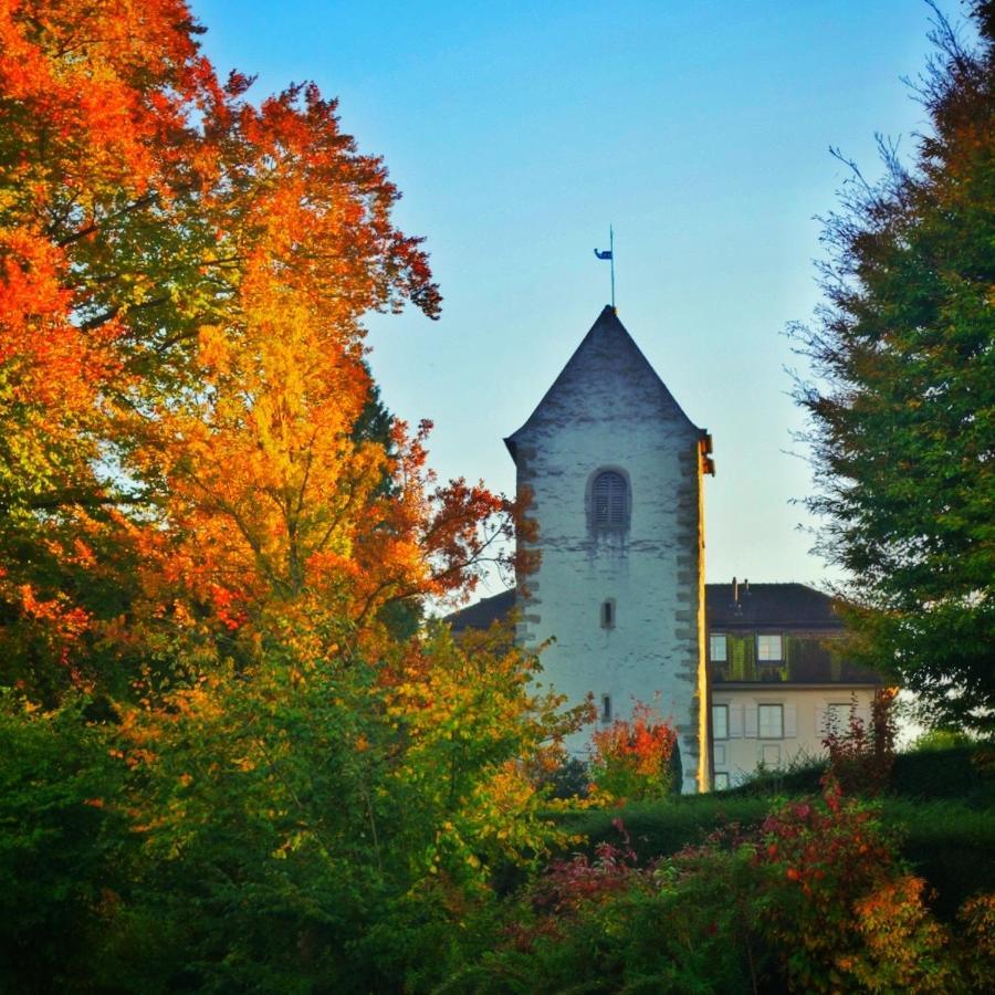 Lakelodge Romanshorn Exterior foto